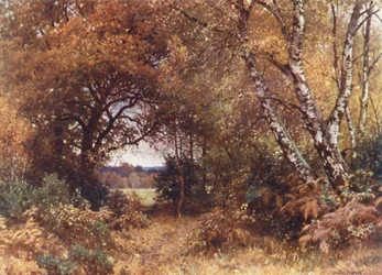A orla de um bosque, Royal Common (litografia a cores)