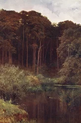 Woodland Depths, Wotton (litografia a cores)