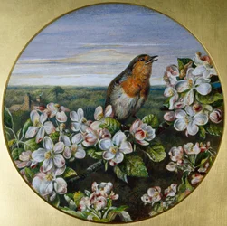 Um Robin entre as Flores