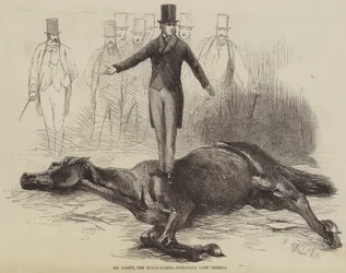 Sr. Rarey, o domador de cavalos, operando no Cruiser