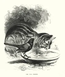 Os dois amigos (gravura)