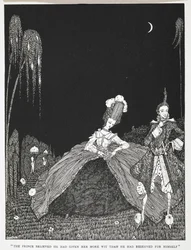"O Príncipe acreditava que lhe tinha dado mais inteligência do que a que tinha reservado para si." Ilustração para a história "Riquet com o tufo".