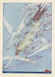 Os cisnes selvagens. Durante todo o dia, voaram pelo ar.