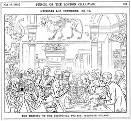 O encontro da Royal Zoological Society, Hanover Square, Londres, 1885
