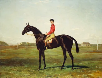 Um cavalo de corrida com Jockey Up na pista de corrida em Newmarket