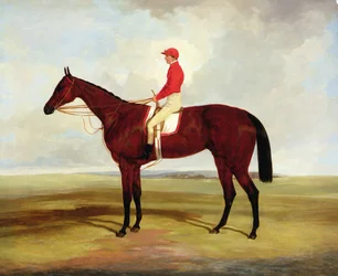Surplice, cavalo de corrida baio de Lord Clifden, com S. Templeman em cima (óleo sobre tela)