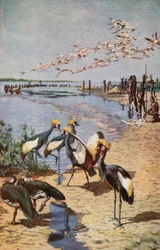 O litoral norte do Lago Chade, visto por Denham em 1822