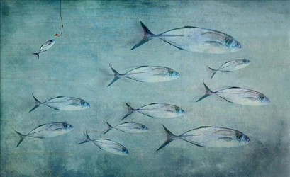 Peixe Pequeno, Anzol Grande