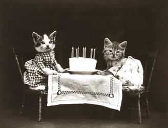Série Kitties: Festa de Aniversário, c.1914 (impressão a prata)