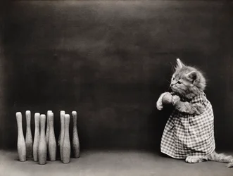 Série Kitties: Bowling, c.1914 (impressão a prata)