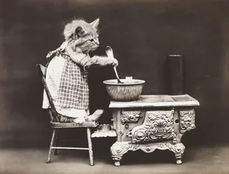 Série Kitties: Cozinheiro no fogão, c.1914 (gravura em prata)
