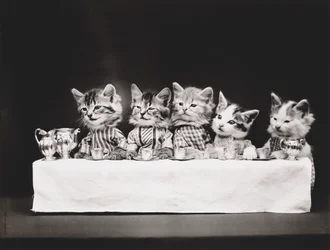 Série Kitties: Última Ceia, c.1914 (gravura em prata)