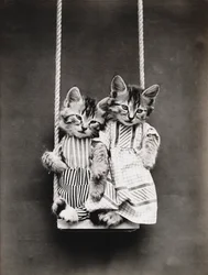 Série Kitties: Num Baloiço, c.1914 (impressão a prata)