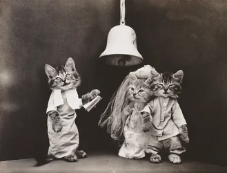 Série Kitties: Casamento, c.1914 (impressão em prata)