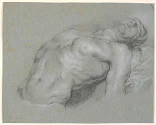 Torso do modelo masculino fortemente reclinado