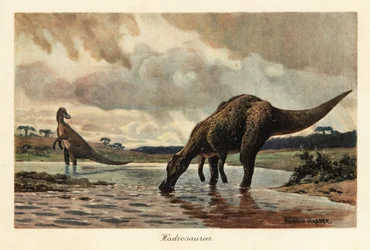 Hadrossauros ou dinossauros de bico de pato que se alimentam num rio.