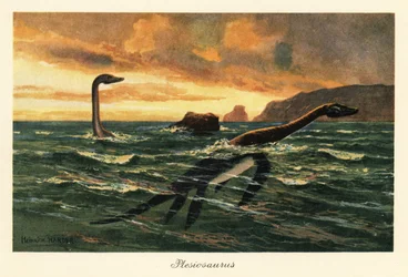 Plesiosaurus dolichodeirus no oceano.