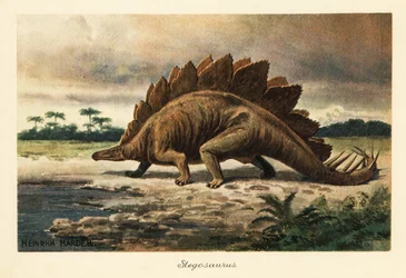 Estegosaurus armatus do Jurássico Final.