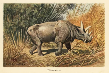 Uintatherium anceps numa clareira da selva.