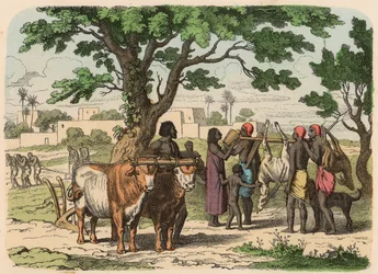 Antigo Egipto: agricultura e caça