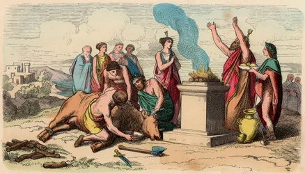 Grécia Antiga : Ritual Bull Sacrifice - Grécia na época dos reis