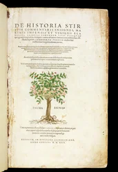 Página de título de "De Historia Stirpium Commentarii Insignes", de Leonard Fuchs (1501-66), gravada por Rodolphe Speckle (d.1550), publicada em 1542