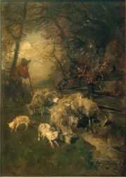 Pastor com ovelhas