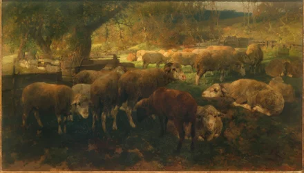 Ovelhas debaixo das árvores