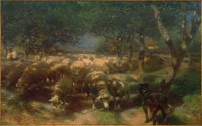 Rebanho de ovelhas com cão