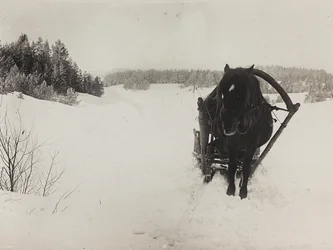 Primeira Guerra Mundial: a "Ucrânia nos anos 1914-1916 durante a invasão do exército alemão". Um trenó puxado por cavalos na neve (foto a p/b)
