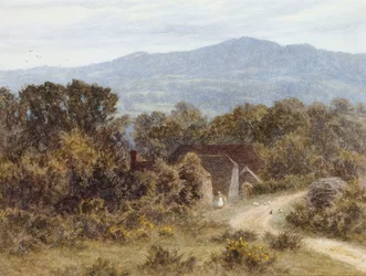 Hindhead de Sandhills, Witley