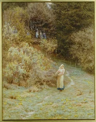 Na madeira de prímula