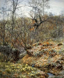 Primavera copa, Witley, Surrey (aguarela sobre papel)