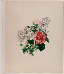 St. Leon Bouquet, c.1842 (aquarela sobre papel)