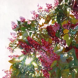 Aglow, 2015