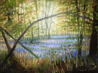 Bluebell Glade, 2024 (óleo sobre tela)