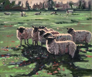 Rebanho curioso I, 2009,