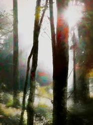 Dare to Believe, 2018