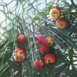 Nova luz no Eden, 2016,