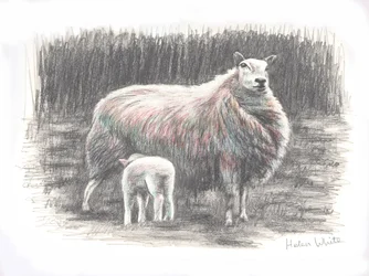 Orgulhoso, 2016, (desenho a lápis)