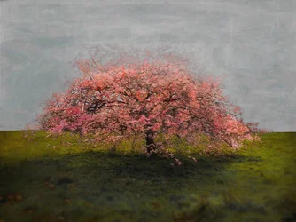 Stand Alone Beauty, 2019