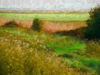 Summer Meadow, 2019