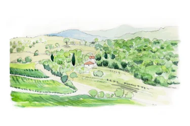 Colina da Toscana, 2014 (lápis e aguarela)