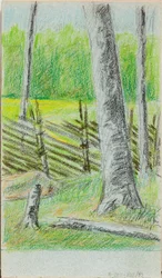 Ohne Titel