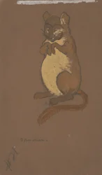 Dormouse (figurino para Alice no País das Maravilhas, 1915)
