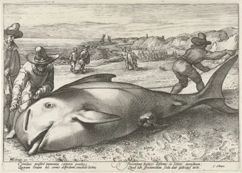 Amigo encalhado na praia perto de Zandvoort, 1594