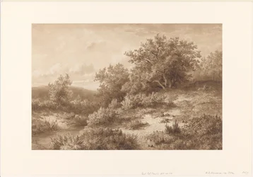 Paisagem com riacho e arbustos