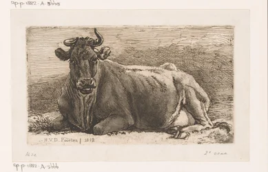 Vaca deitada