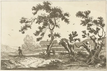 Bomen langs een weg Doze desenhos calculados para uso de quem está aprendendo a desenhar paisagem (título da série)
