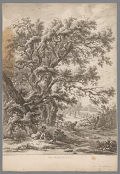 Paisagem com um homem e um cachorro debaixo de uma árvore perto de Midlaren Em Midlaren (título no objeto) Nove rostos em Drenthe (título da série) IX Faces dentro e perto da paisagem de Drenthe (título da série)